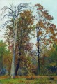 autumn 1894 classical landscape Ivan Ivanovich trees